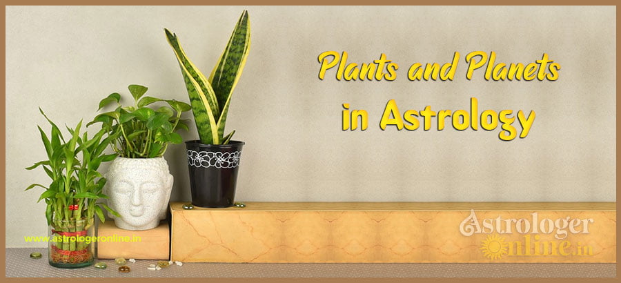 Plants and Planets In Astrology Astrologer Online